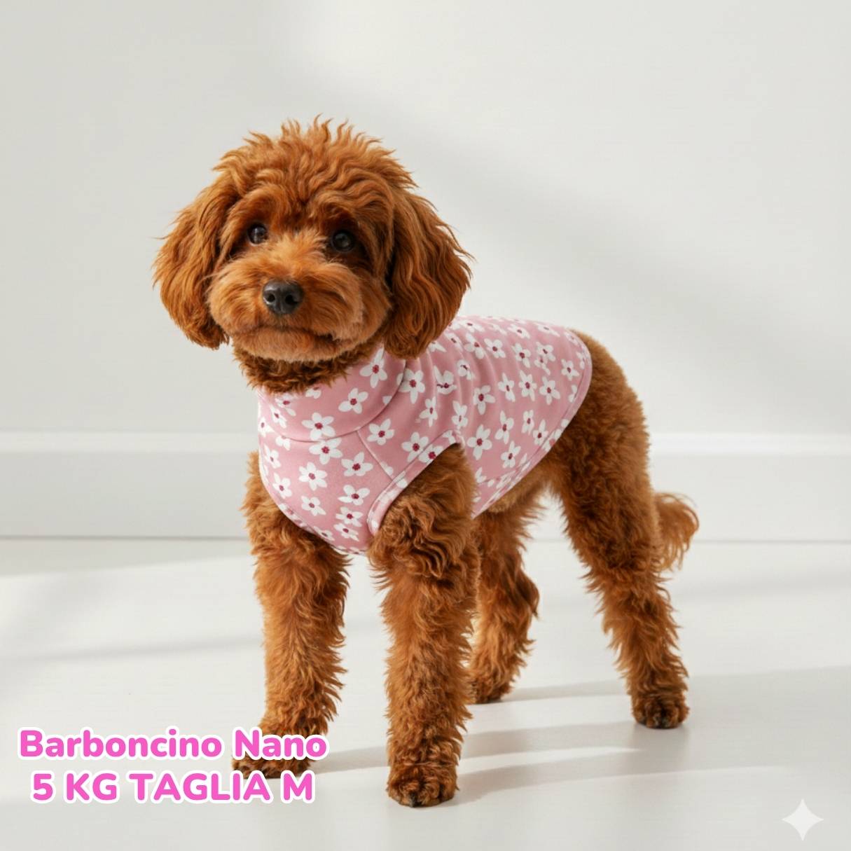 Felpa Cotone Primavera Fiori Rosa