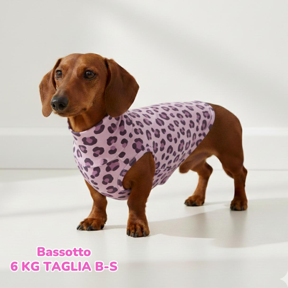 Felpa Cotone Primavera Violet Leopard