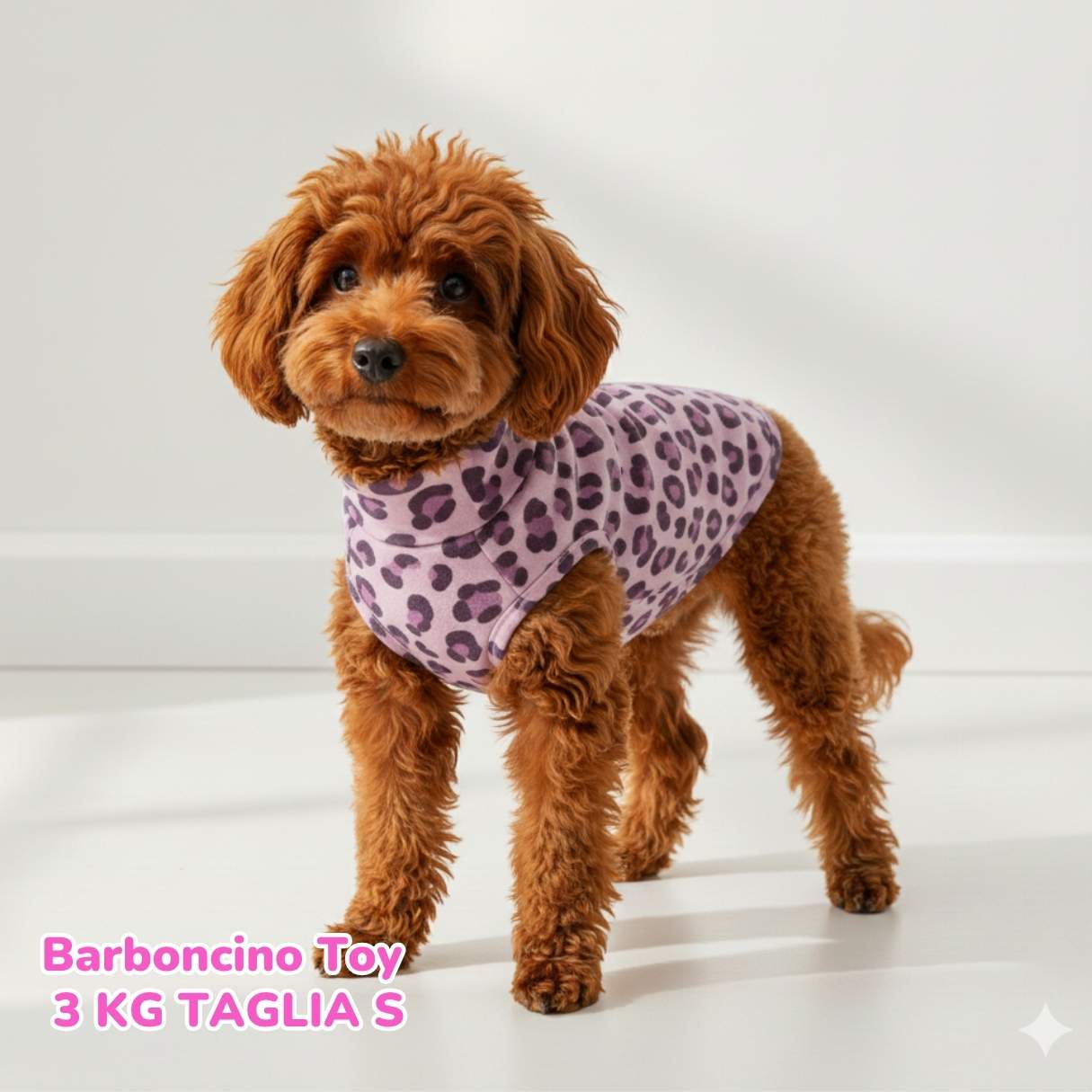 Felpa Cotone Primavera Violet Leopard