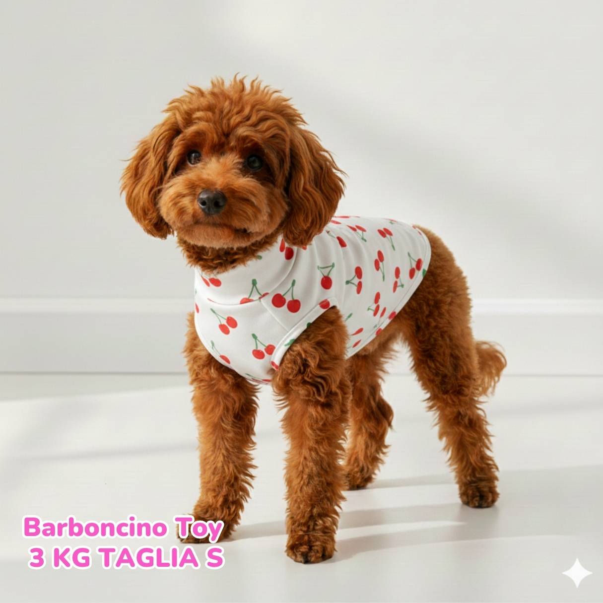 Maglietta Cotone Ciliegie