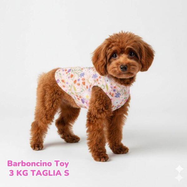 Felpa Cotone Primavera Fragole e Fiori