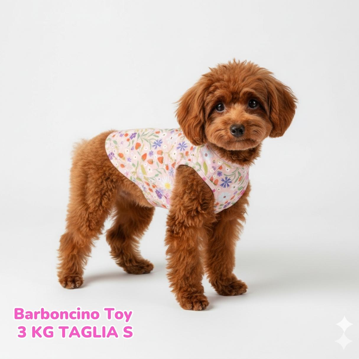 Felpa Cotone Primavera Fragole e Fiori