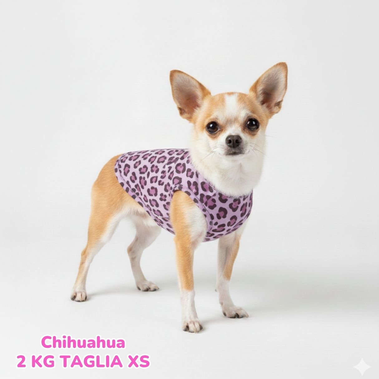 Felpa Cotone Primavera Violet Leopard