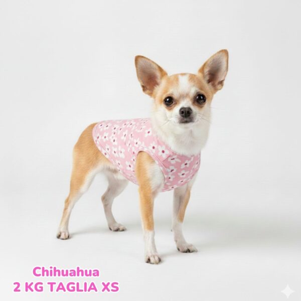 Maglietta Cotone Ciliegie