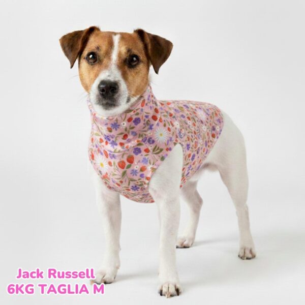 Maglietta Cotone Savana