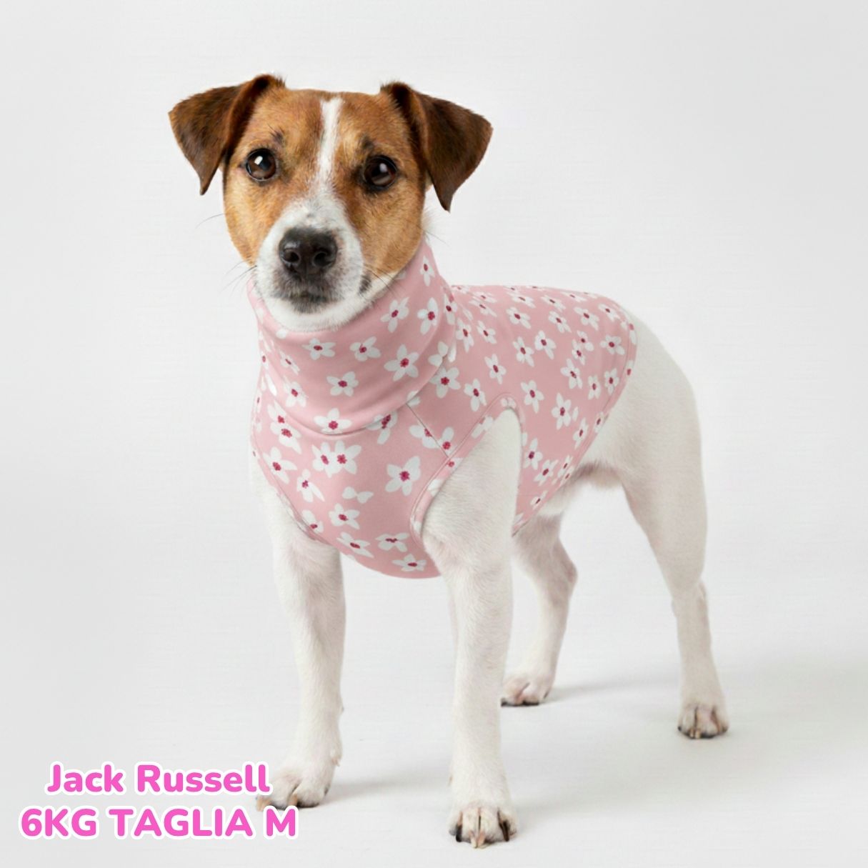 Felpa Cotone Primavera Fiori Rosa