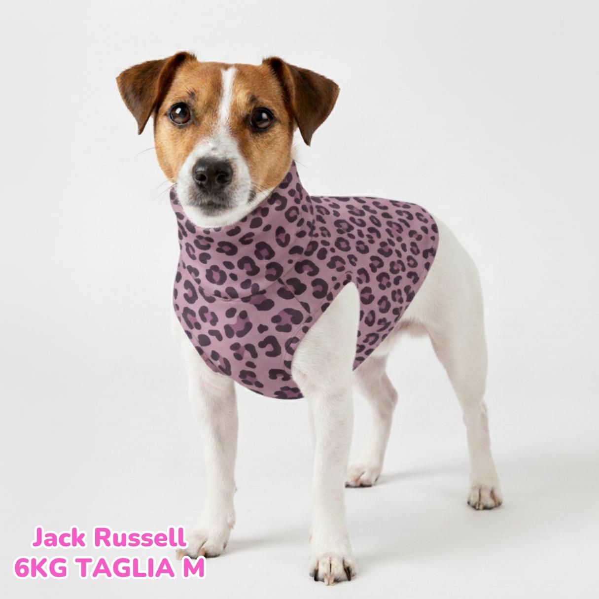 Felpa Cotone Primavera Violet Leopard