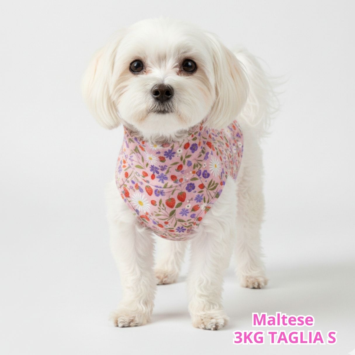 Felpa Cotone Primavera Fragole e Fiori