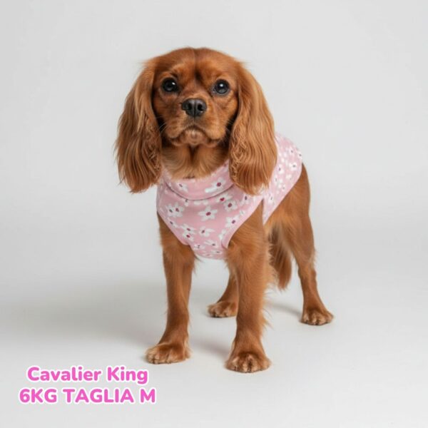 Felpa Cotone Primavera Fiori Rosa