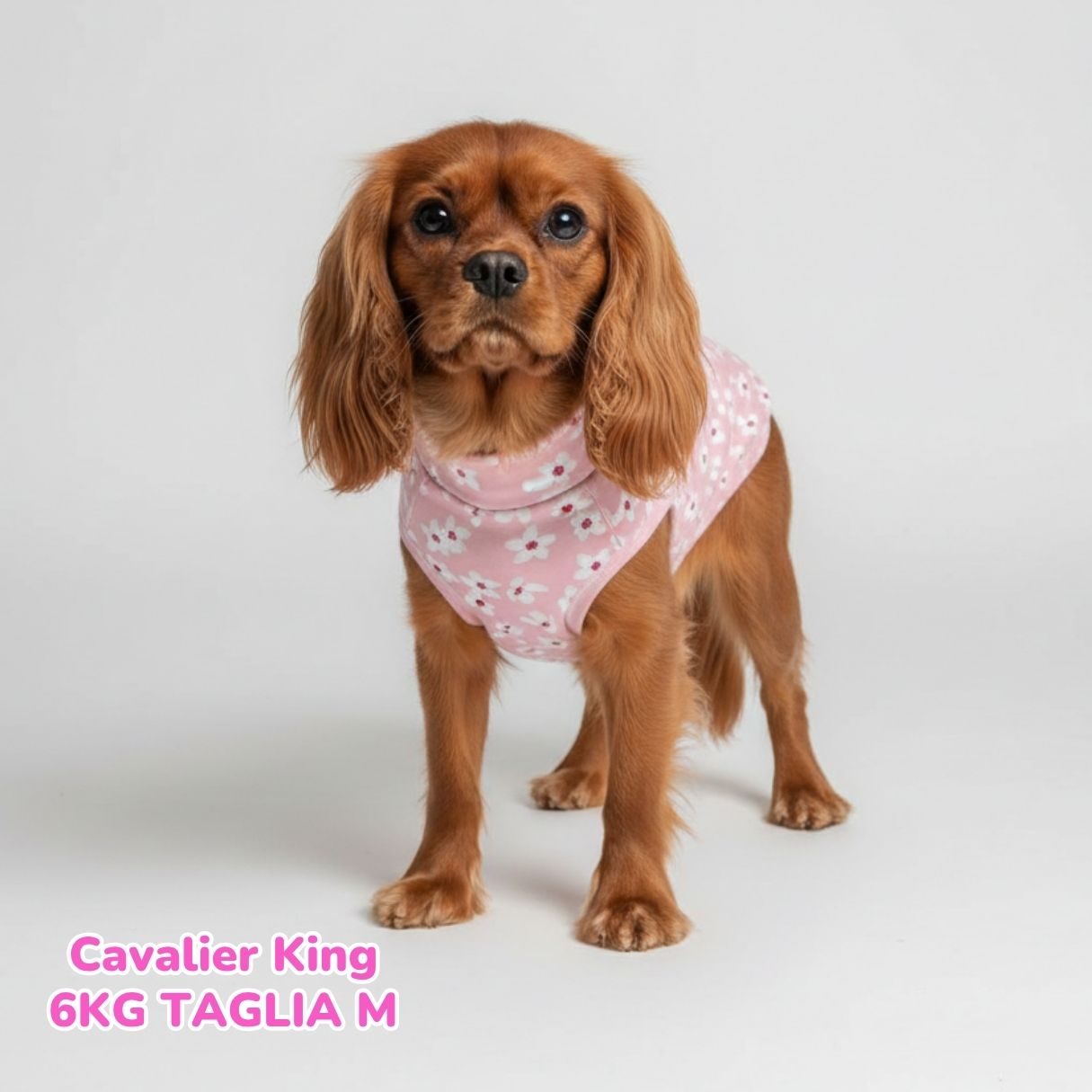 Felpa Cotone Primavera Fiori Rosa