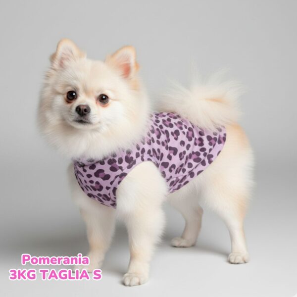 Felpa Cotone Primavera Violet Leopard