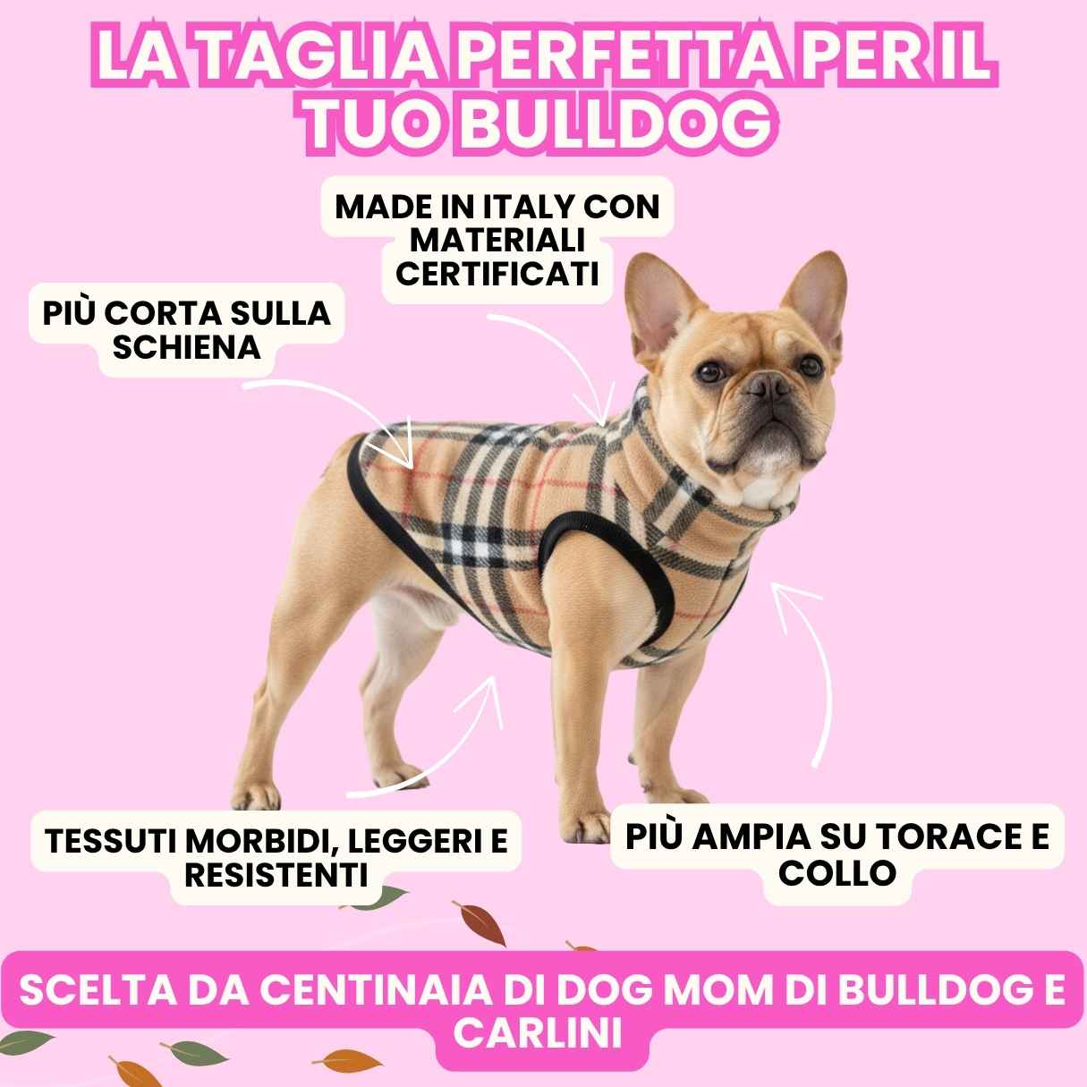 bulldog francese/carlino con abbigliamento Piggy Pet