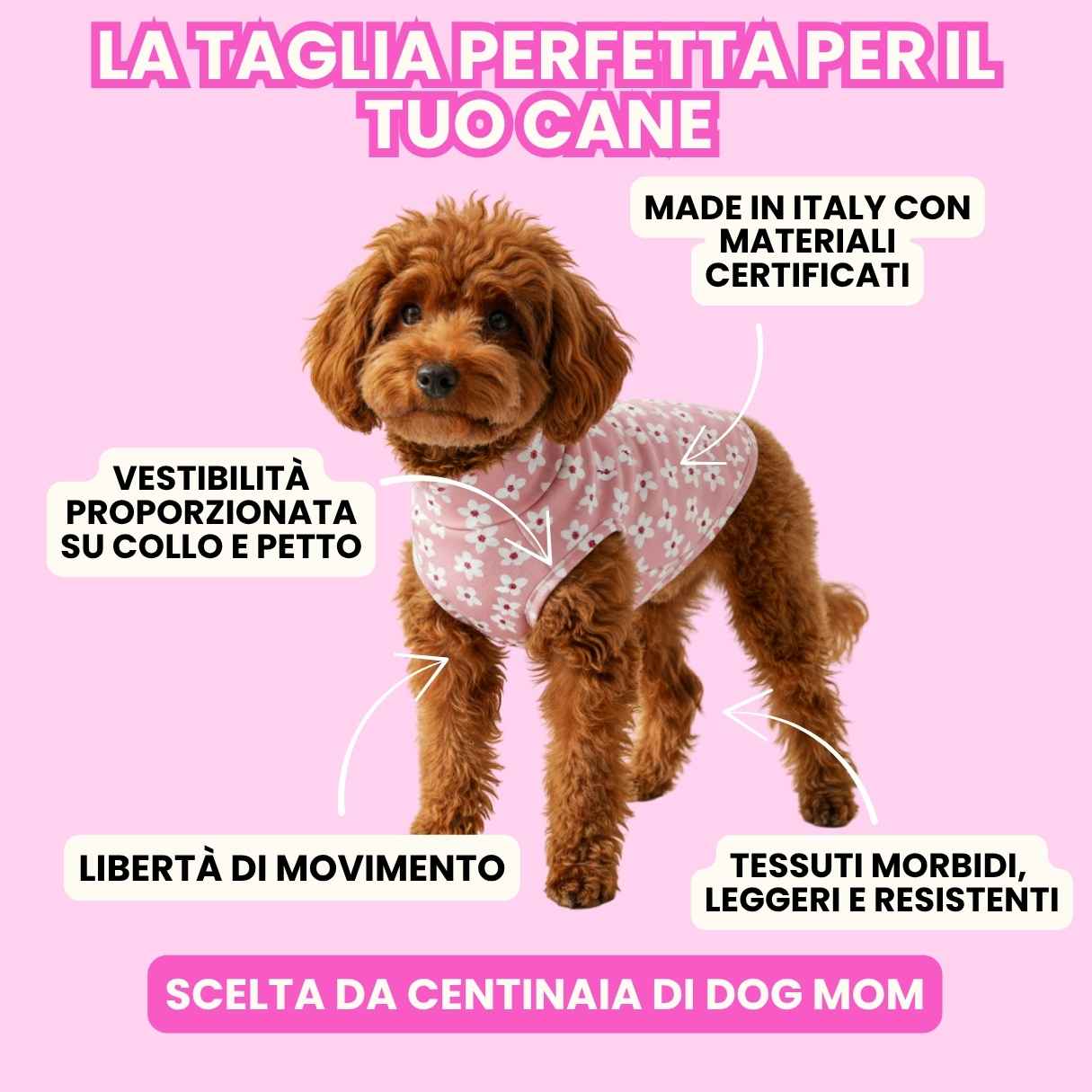Cani con abbigliamento Piggy Pet