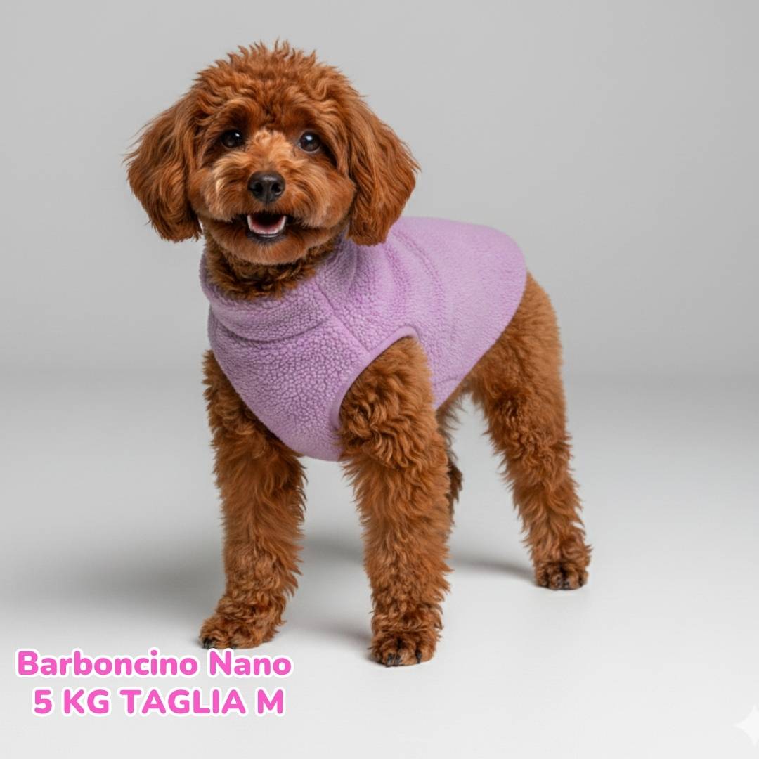 Teddy Violet