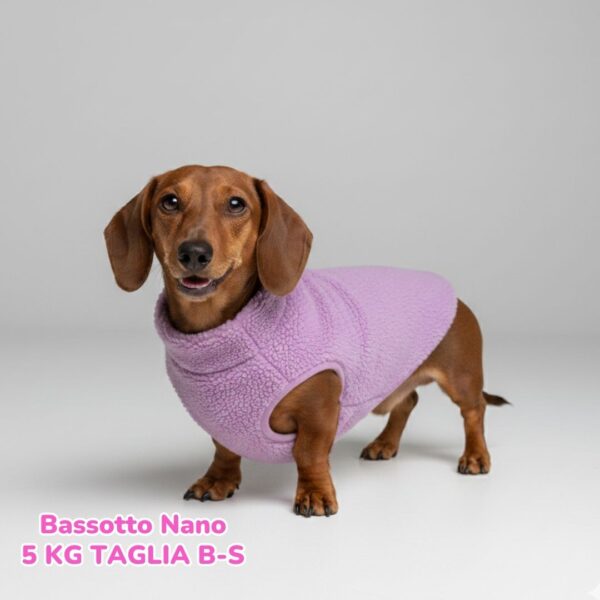 Teddy Violet