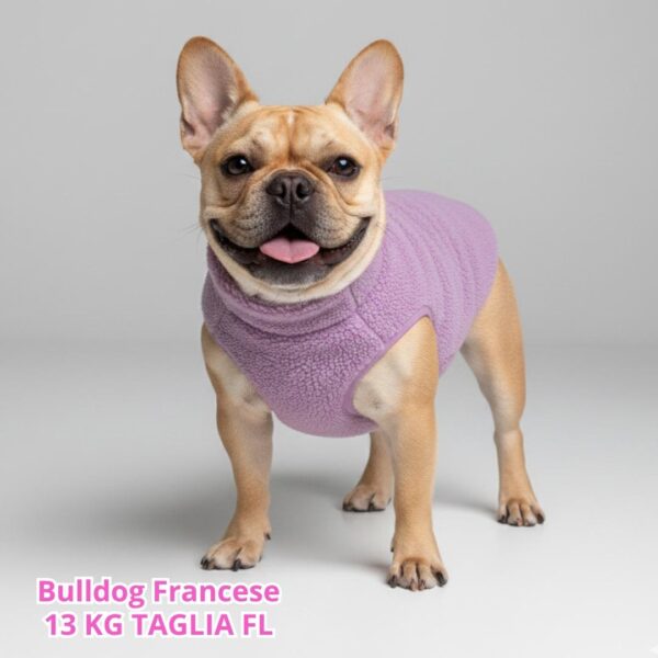Teddy Violet