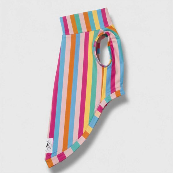 Felpa Cotone Multicolor