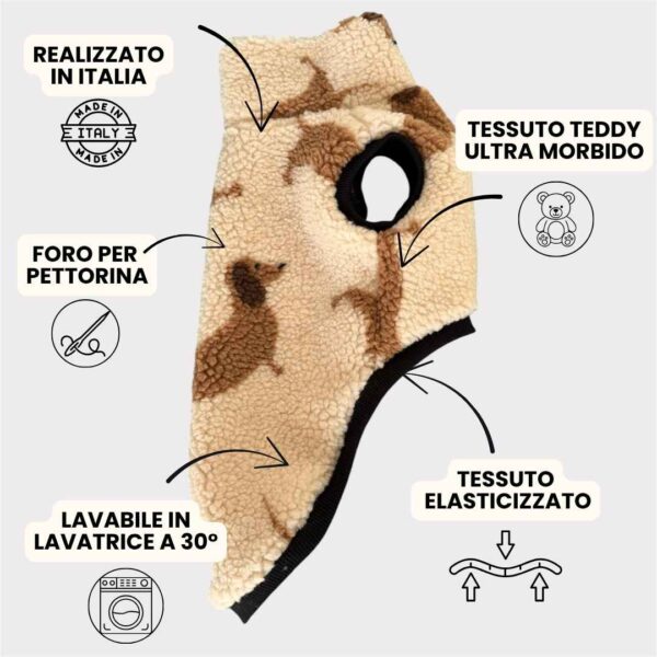 Teddy Bassotti Teddy Bassotti