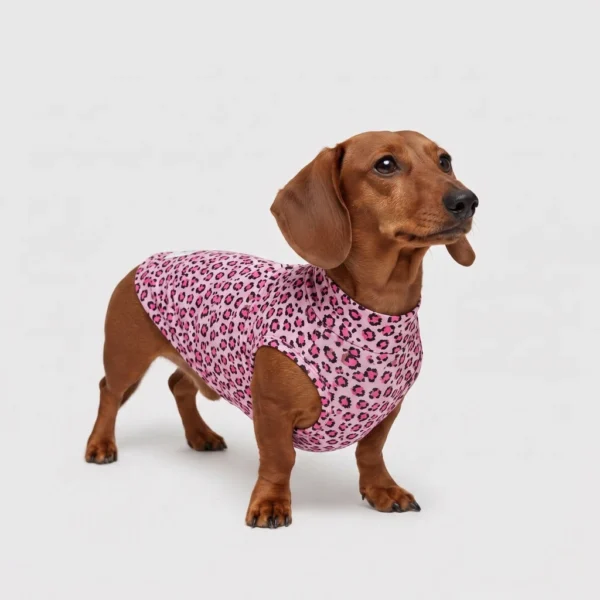 Felpa Cotone Leopard Rosa