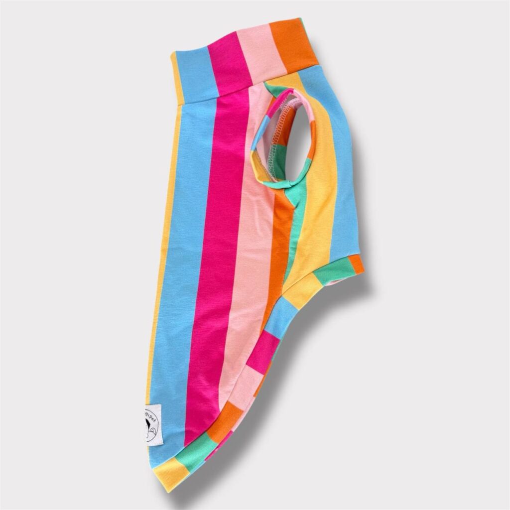 Felpa Cotone Multicolor
