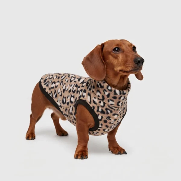 Pile Pelliccia Leopard Beige Pile Pelliccia Leopard Beige